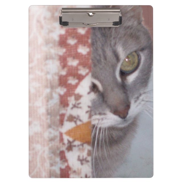 Pranchetas Área de Transferência Meow Cats 13 (Frente)