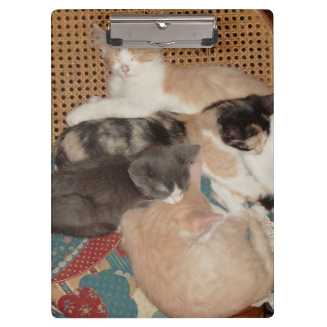 Pranchetas Área de Transferência Meow Cats 29 (Frente)