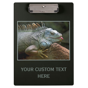 Pranchetas Área de transferência personalizada do Iguana