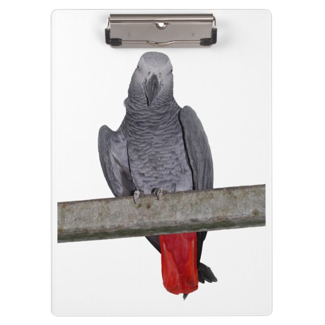 Pranchetas Área de Transferência Polly (escolha a cor) (Frente)