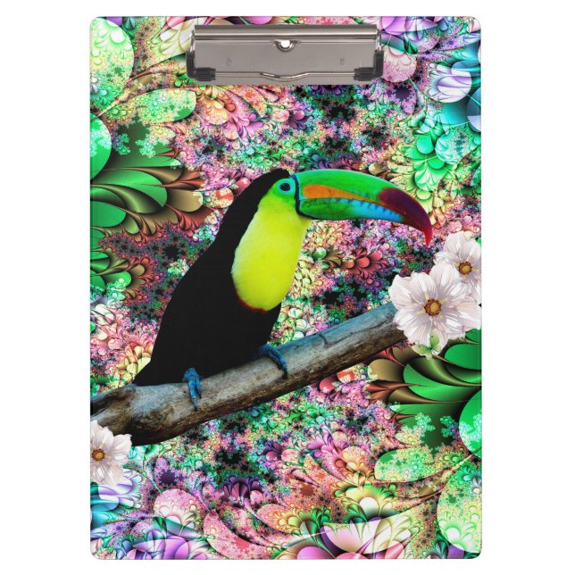 Pranchetas Área de transferência Toucan 4 (Frente)