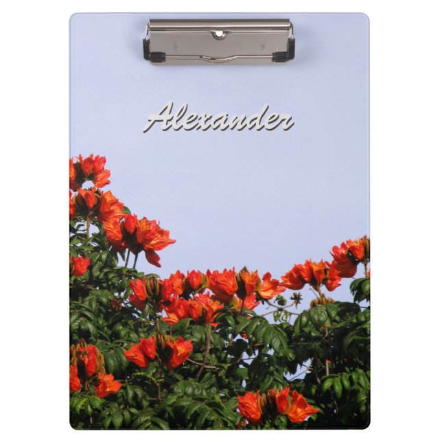 Pranchetas Árvore de tulipa africana botânica algum texto (Frente)