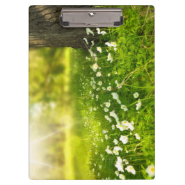 Pranchetas As alegrias da Primavera