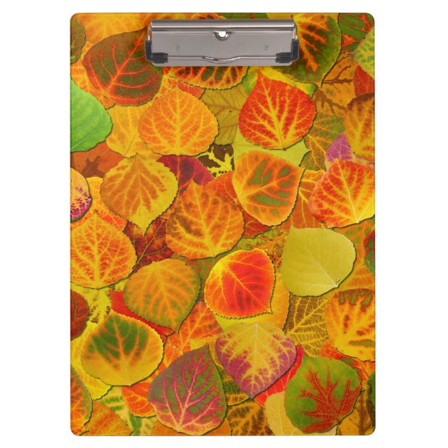 Pranchetas Aspen Deixa Collage Sólido Medley 1 (Frente)