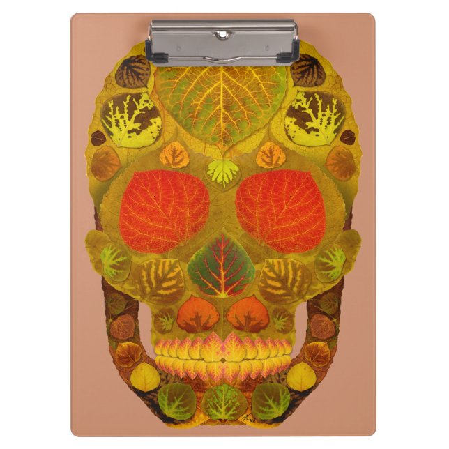 Pranchetas Aspen Folha Crânio 12 (Frente)