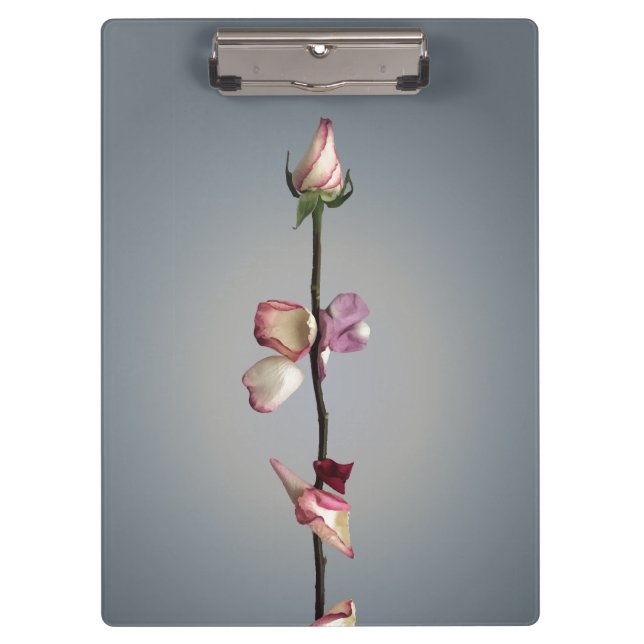 Pranchetas Até a última pétala... (Frente)