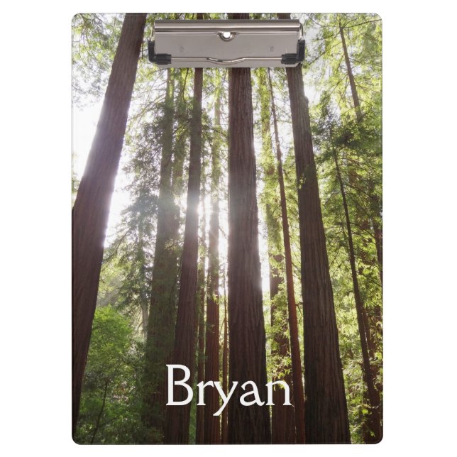 Pranchetas Até Sequoias de Manhã (Frente)