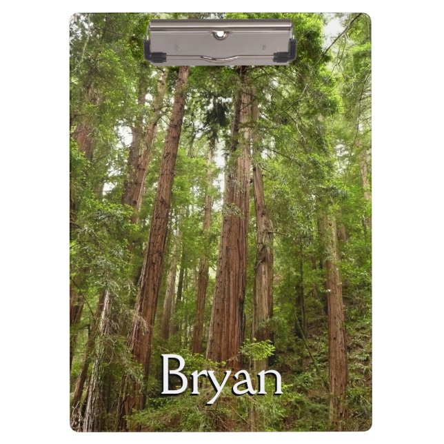 Pranchetas Até Sequoias Eu no Monumento Nacional de Muir Wood (Frente)