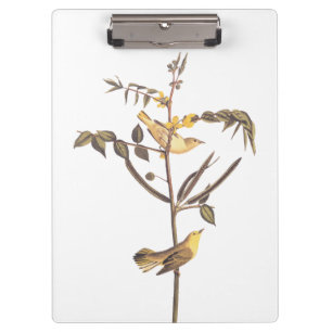 Pranchetas Audubon Children's Warbler Songbird