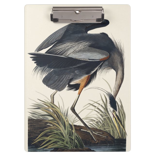 Pranchetas Audubon Great Blue Heron Wetland Majesty (Frente)