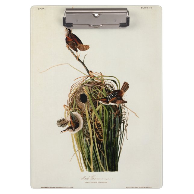 Pranchetas Audubon Marsh Wren Bird Art (Frente)