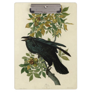 Pranchetas Audubon Raven Bird Classic Trabalho de arte