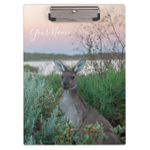 Pranchetas Austrália Canguru Animal Wille life Sunset Nature