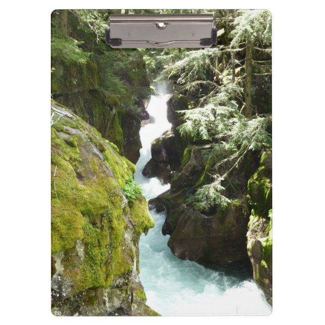 Pranchetas Avalanche Gorge II no Parque Nacional Glacier (Frente)