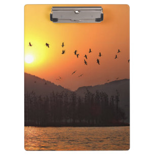 Pranchetas Aves voando em Céu Sunset sobre East Lake Photo