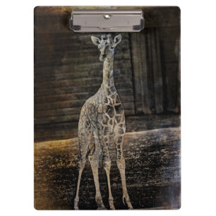 Pranchetas Baby Giraffe