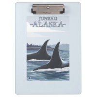 Baleias #1 da orca - Juneau, Alaska