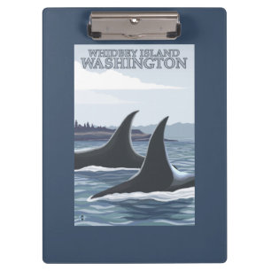 Pranchetas Baleias #1 da orca - Whidbey, Washington