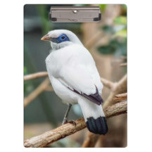 Bali Myna Bird Clipboard