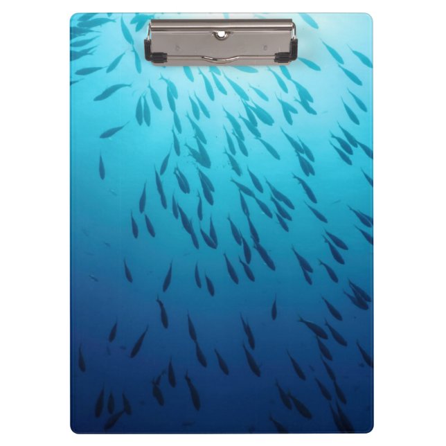 Pranchetas Banco de areia dos peixes (Frente)
