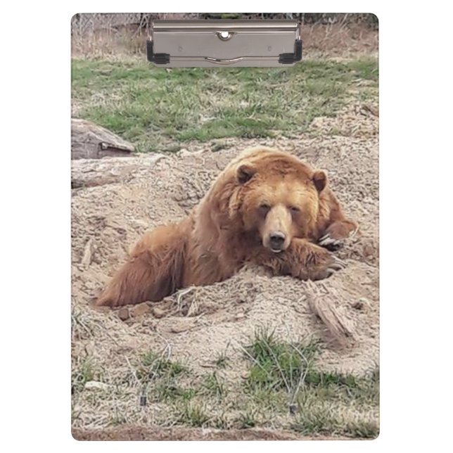 Pranchetas Bear Nap (Frente)