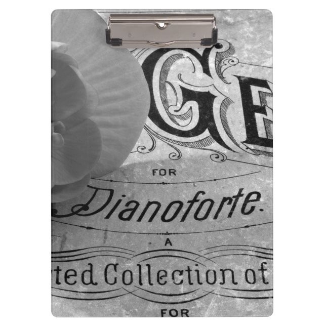 Pranchetas Begonia Gems Pianoforte (Frente)