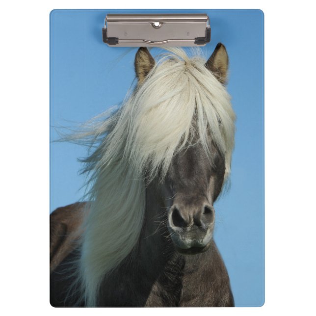 Pranchetas Belo Cavalo (Frente)