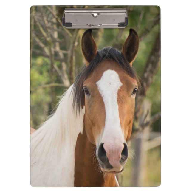 Pranchetas Belo Cavalo de Pintura (Frente)