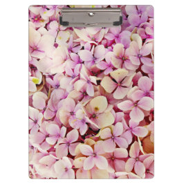 Pranchetas Belos Flores de Hydrangea