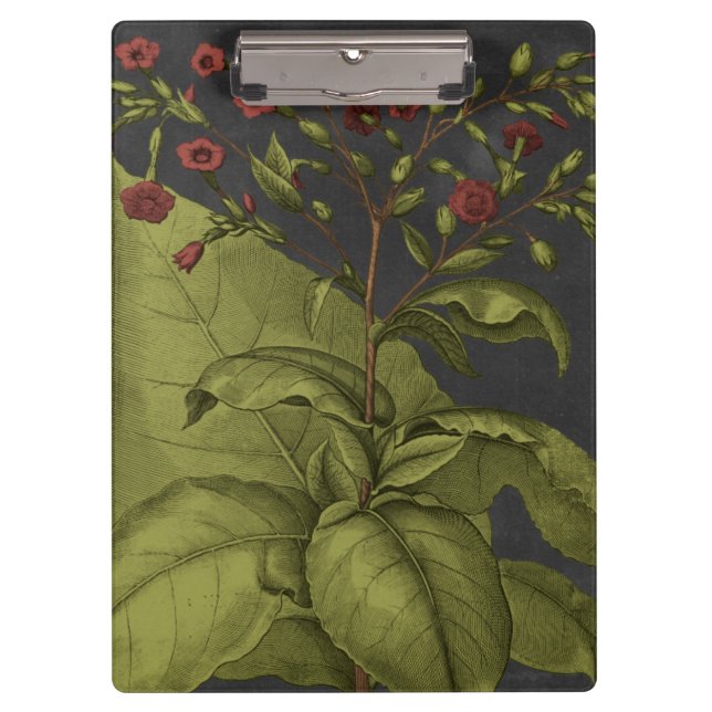 Pranchetas Besler Dramatique I (Frente)