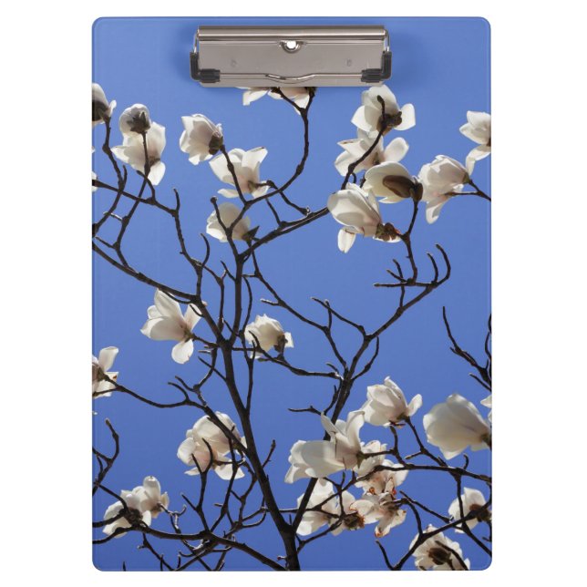 Pranchetas Blooming Magnolias (Frente)