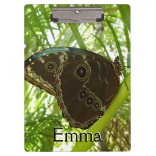 Pranchetas Blue Morpho Butterfly - Fotografia da natureza tro
