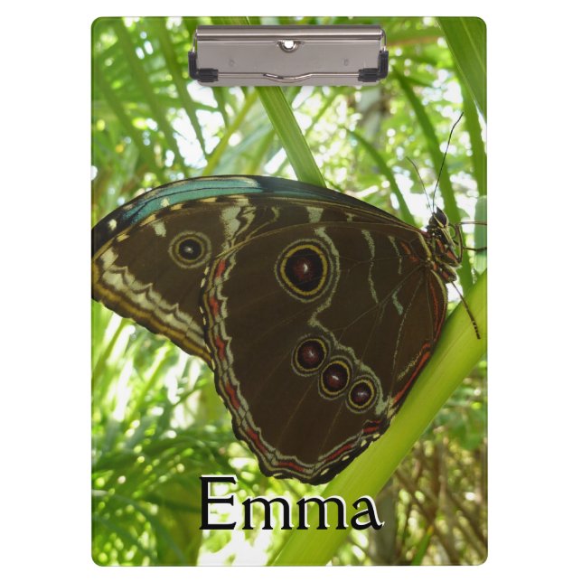 Pranchetas Blue Morpho Butterfly Nature Photoshop (Frente)