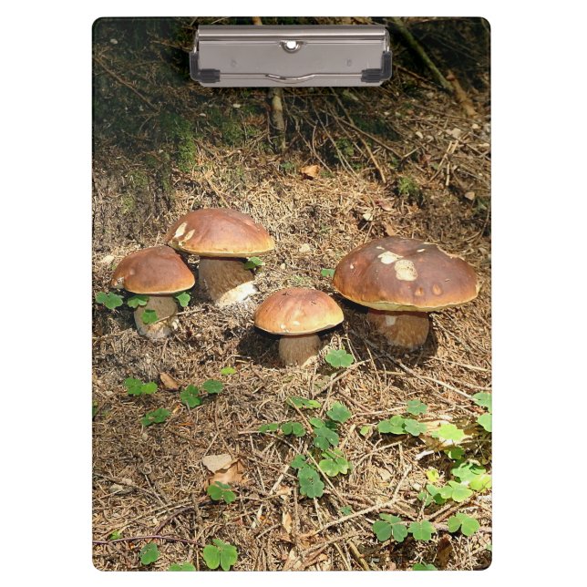 Pranchetas boletus (Frente)