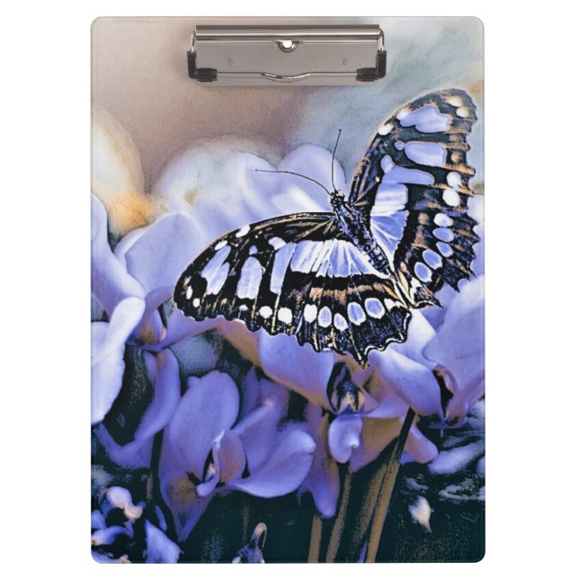 Pranchetas Borboleta Azul (Frente)