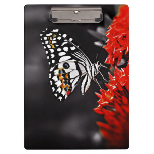 Pranchetas Borboleta nas Flores Vermelhas