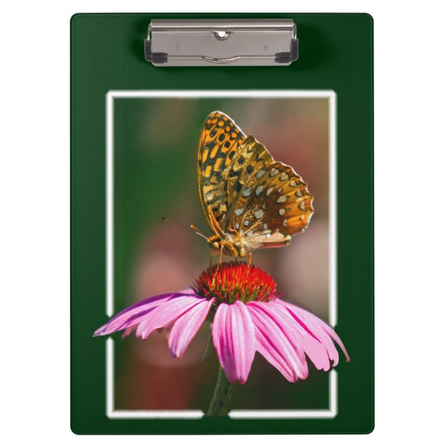 Pranchetas Borboleta No ConEFlower Roxo (Frente)