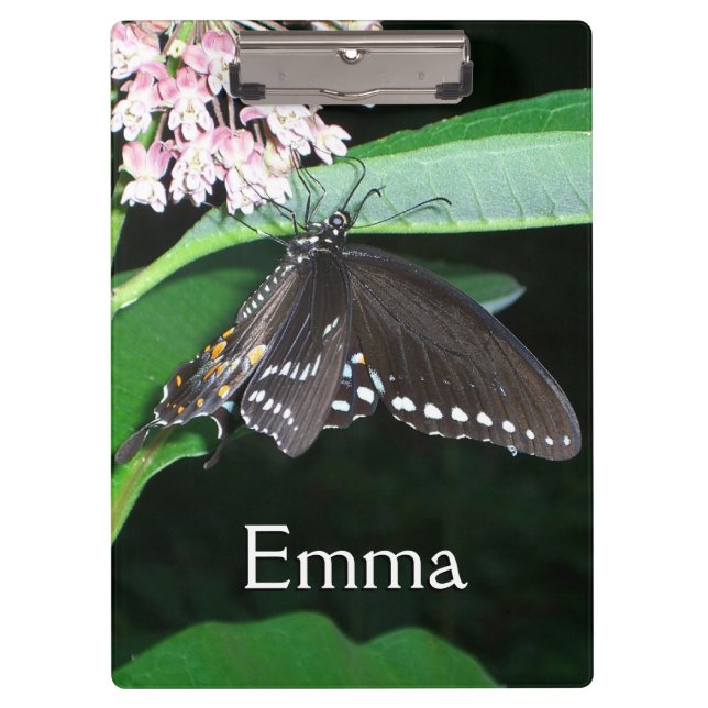 Pranchetas Borboleta Noturna Negra Swallowtail em Shenandoah (Frente)