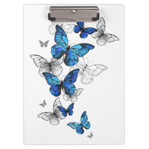 Pranchetas Borboletas Azuis Morpho