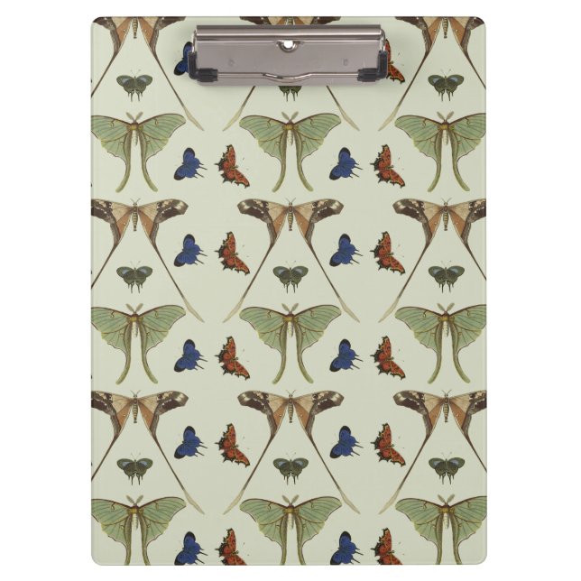Pranchetas Borboletas do vintage (Frente)