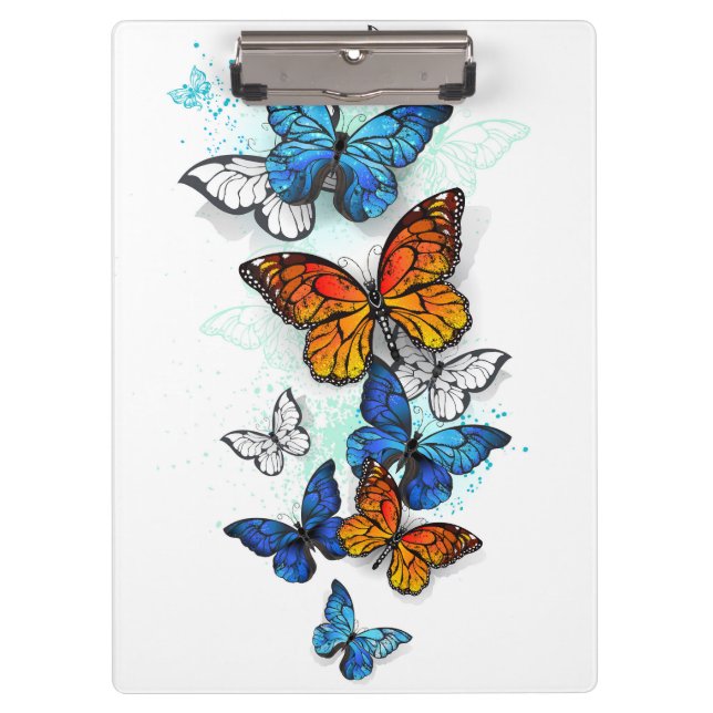 Pranchetas Borboletas voadoras Morpho e Monarca (Frente)