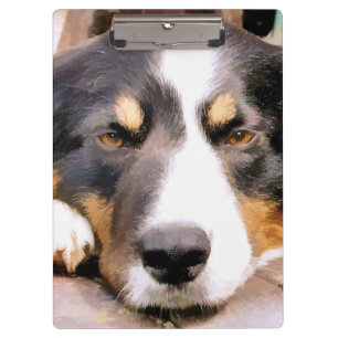PRANCHETAS BORDER COLLIE