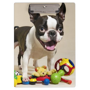 Pranchetas Boston Terrier Dog Brincando com Brinquedos