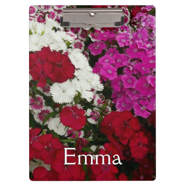 Pranchetas Branco, Rosa e Vermelho Dianthus Floral (Frente)