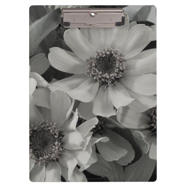 Pranchetas Brown Eyed Susan Flowers (Frente)