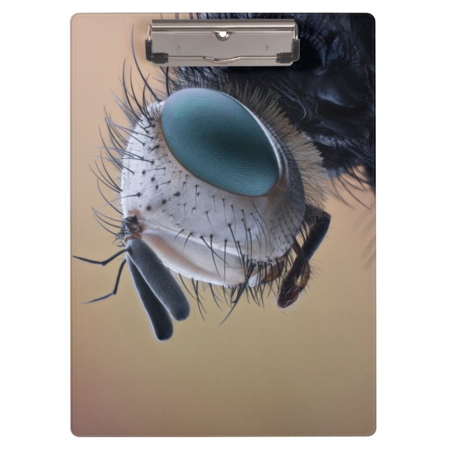 Pranchetas Cabeça de Inseto de Insetos de Fechamento (Frente)