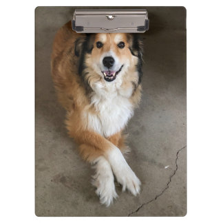 Pranchetas Cachorro