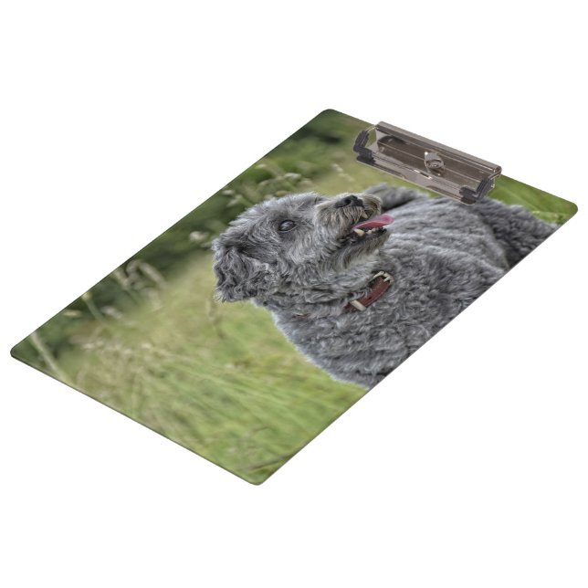 Pranchetas Cachorro Cortado Terrier (Inclinado)