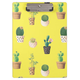 Pranchetas Cacto Suculento do Deserto Verde em Potes