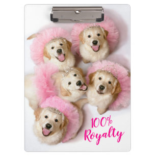 Pranchetas Cães Princesas em Tiaras